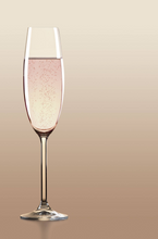 Load image into Gallery viewer, Tuscany Set of 6 Classic Champagne Flutes For Madeline &amp; Adam
