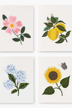 Load image into Gallery viewer, Rifle Paper Co. Botanical Blossom Assorted Note Card Set
