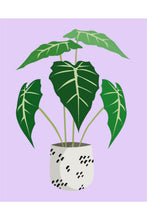 Load image into Gallery viewer, Just Leafy Paint by Numbers Kit
