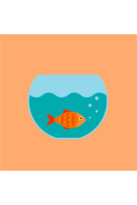 Gertie Goldfish Paint by Numbers Kit