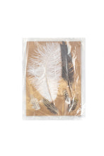 Load image into Gallery viewer, Set of Six Assorted Plumes
