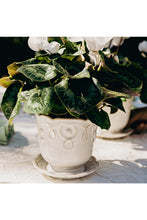 Load image into Gallery viewer, Juliska Jardins Du Monde Planter 5 in.
