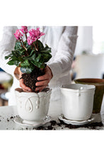 Load image into Gallery viewer, Juliska Jardins Du Monde Planter 5 in.
