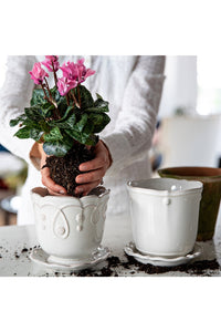 Juliska Jardins Du Monde Planter 5 in.