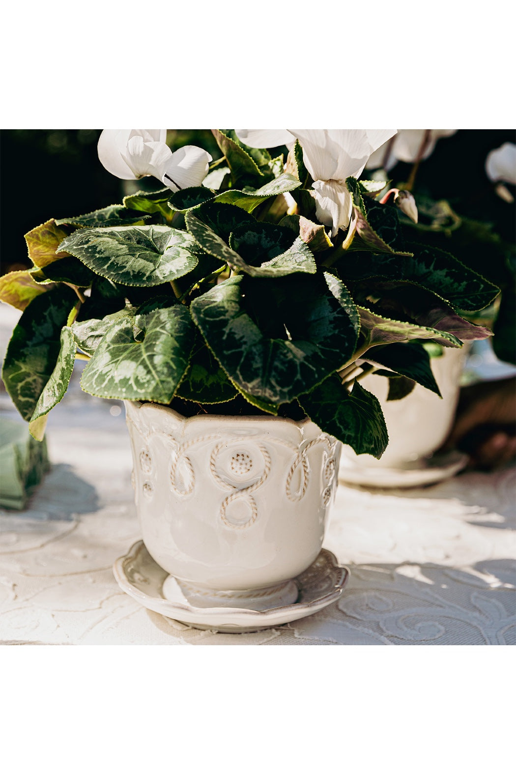 Juliska Jardins Du Monde Planter 5 in.