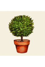 Load image into Gallery viewer, Topiary Cocktail Napkins
