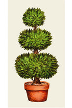 Load image into Gallery viewer, Topiary Guest Napkins
