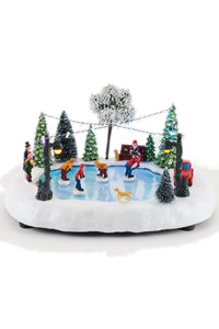 Skating Scene