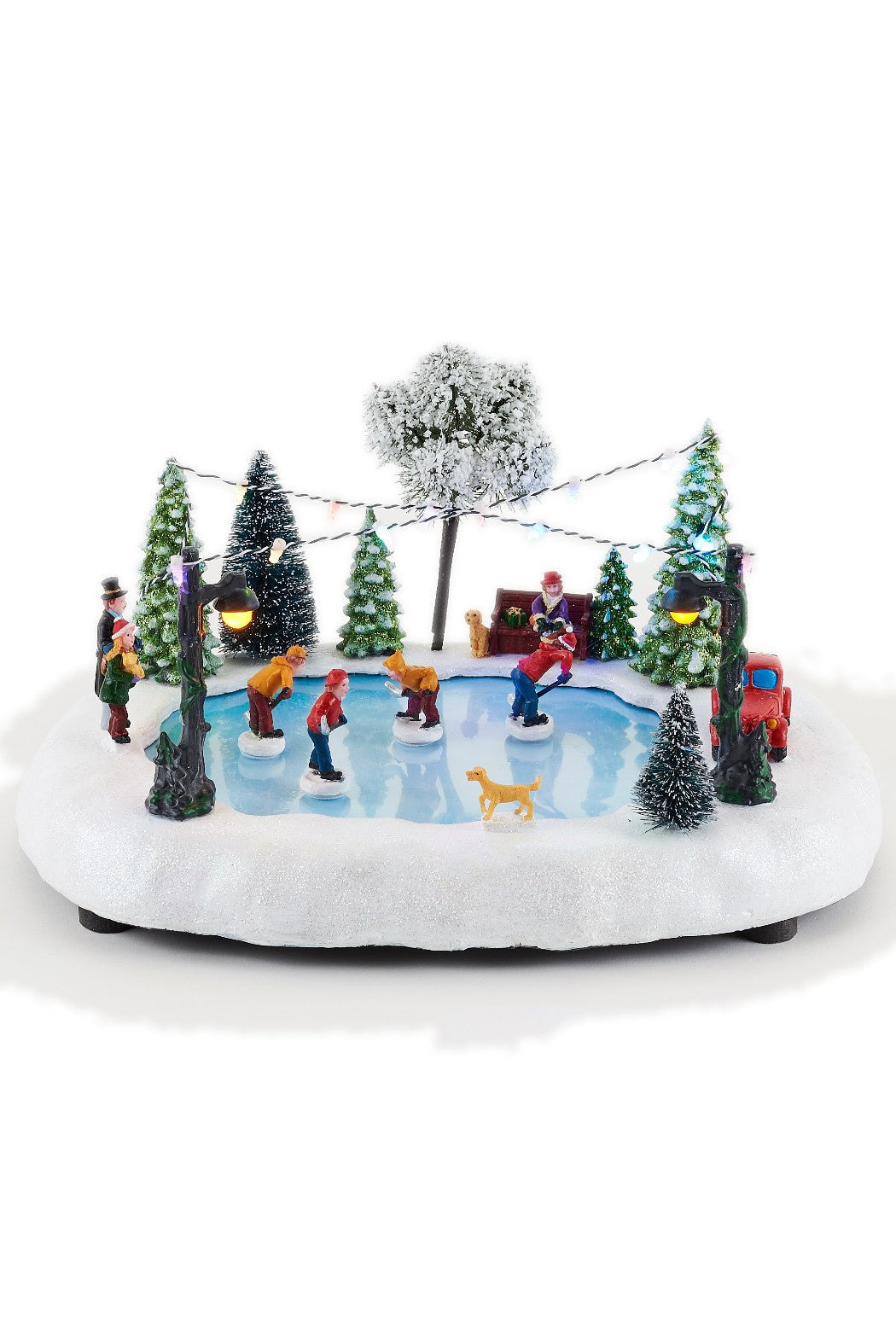 Skating Scene